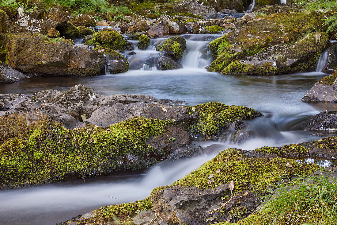 Ein Waldstrom, der East Okement River, fließt von den Nordhängen des Dartmoor-Nationalparks nahe Okehampton, Devon, England, Vereinigtes Königreich, Europa