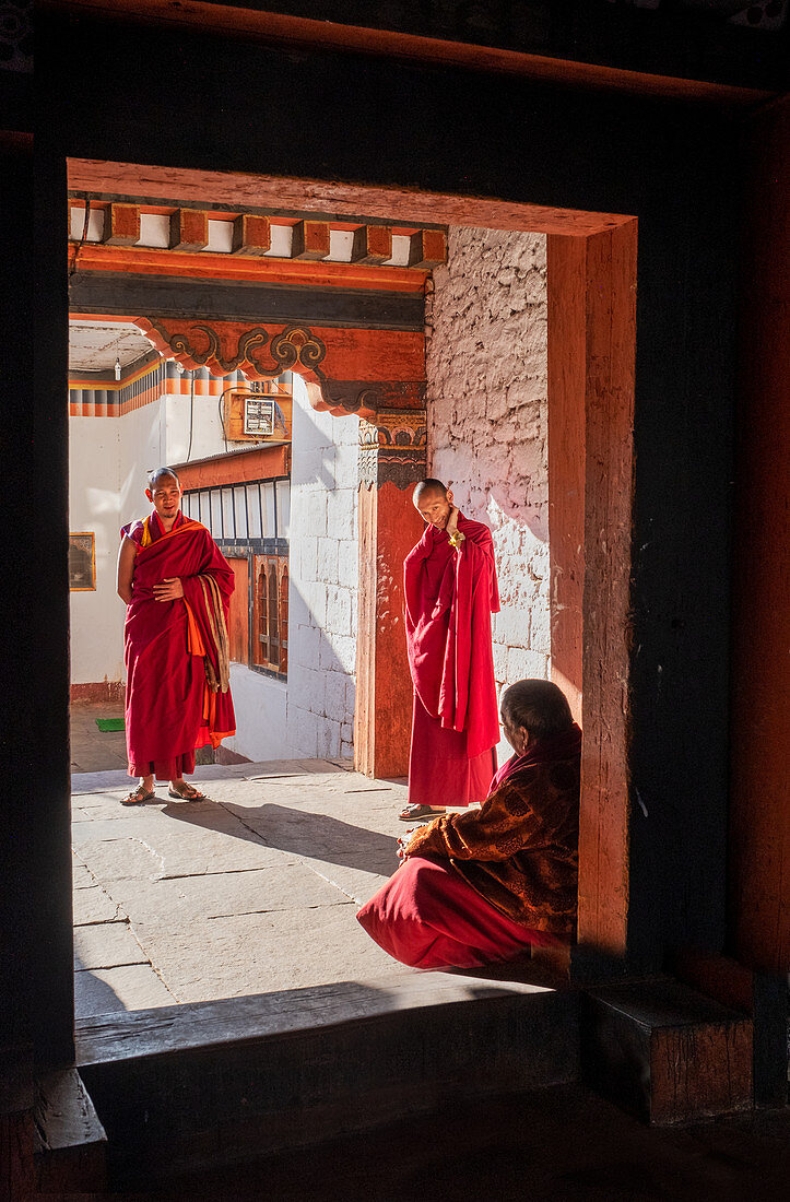 Bhutanese monks talk with head monk, Kyichu Temple, Bhutan, Asia