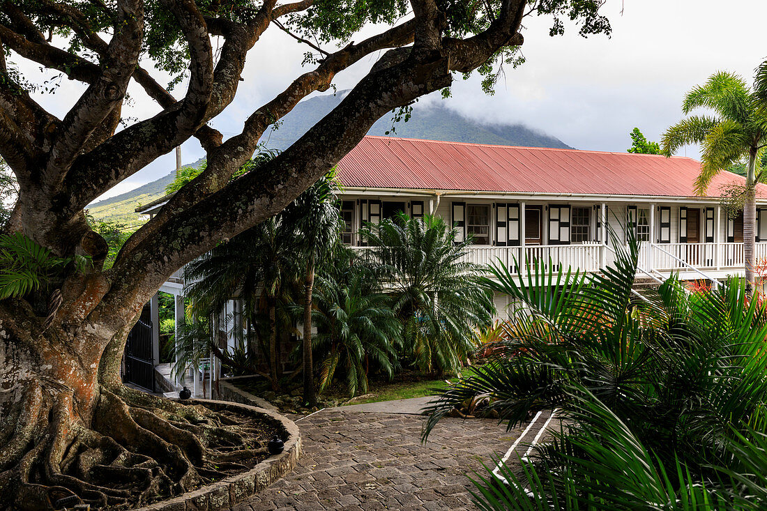 Montpelier Plantation, restored sugar plantation where Nelson married, boutique hotel, Nevis, St. Kitts and Nevis, West Indies, Caribbean, Central America