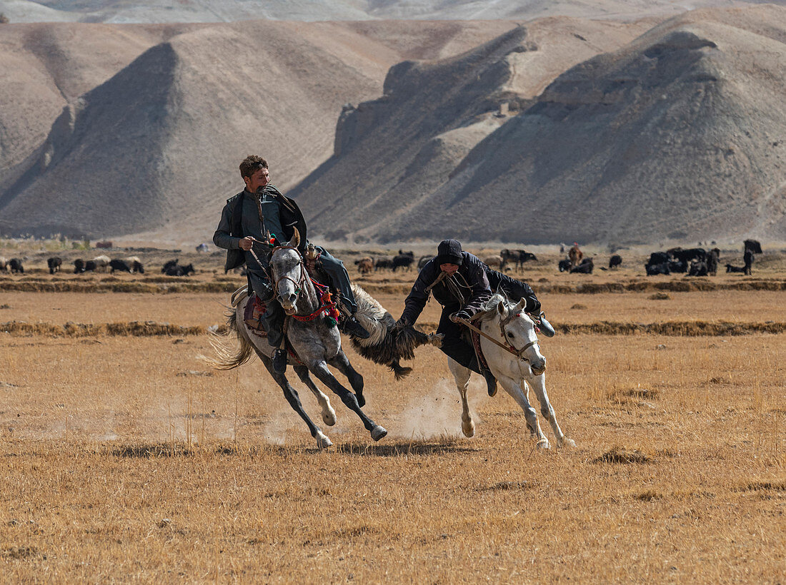 Men practising a traditional Buzkashi game, Yaklawang, Afghanistan, Asia