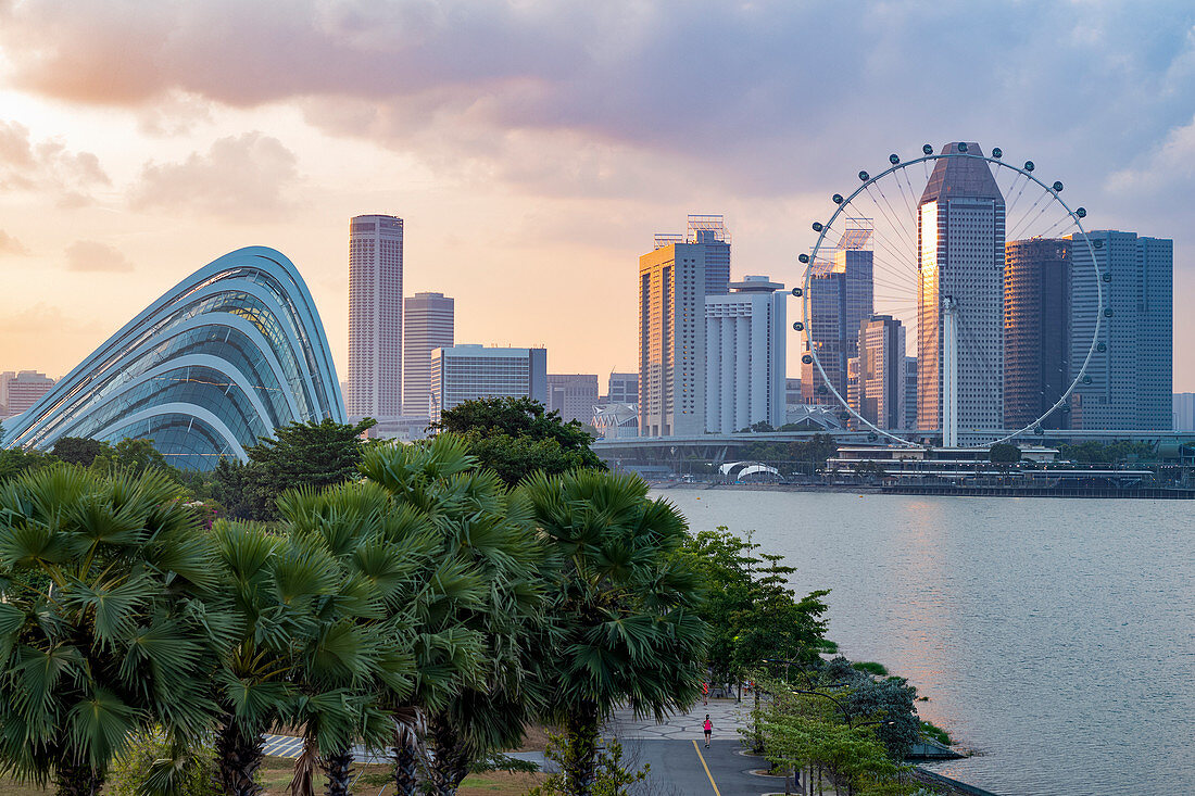 Singapore skyline, Cloud Forest Dome and Singapore Flyer from Gardens by the Bay at dusk, Singapore, Southeast Asia, Asia