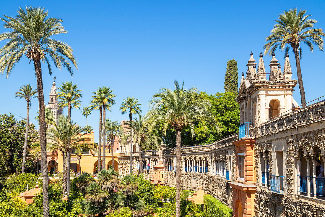 Galeria de Grutesco and the Portal of the Privilege in the Gardens of the Real Alcazar, UNESCO World Heritage Site, Seville, Andalusia, Spain, Europe