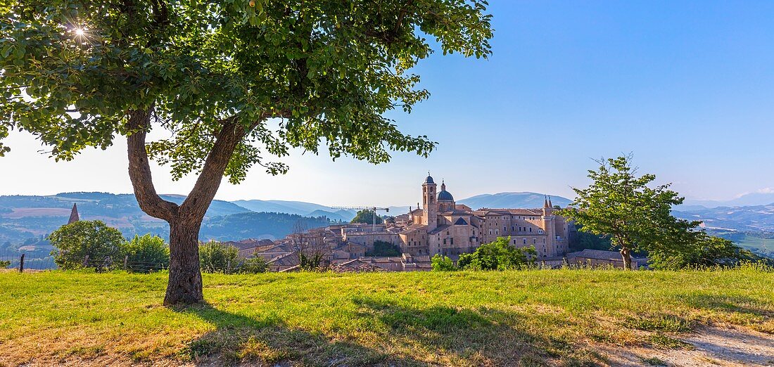 View from the Albornoz Fortress, Urbino, Marche, Italy, Europe