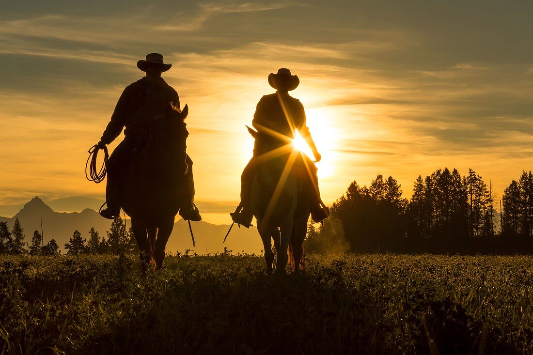 Zwei Cowboys reiten in den Sonnenuntergang über Grasland mit Bergen dahinter, Britisch-Kolumbien, Kanada