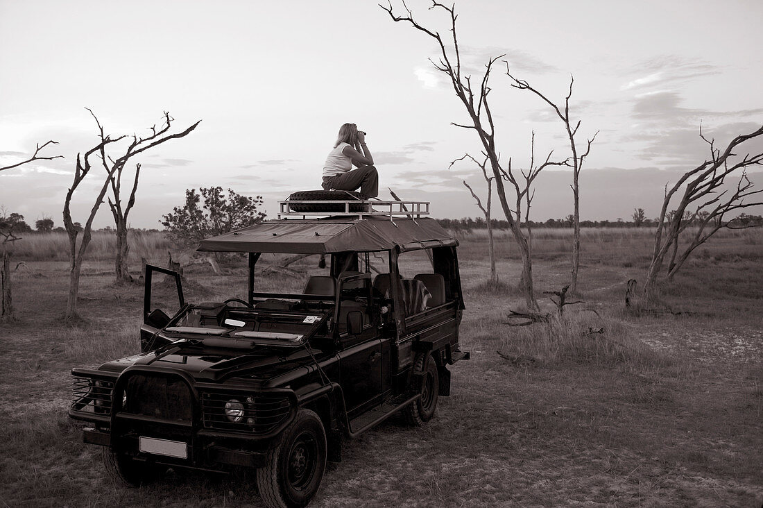 Woman standing on top of 4x4 parked in the Moremi Reserve, Botswana.