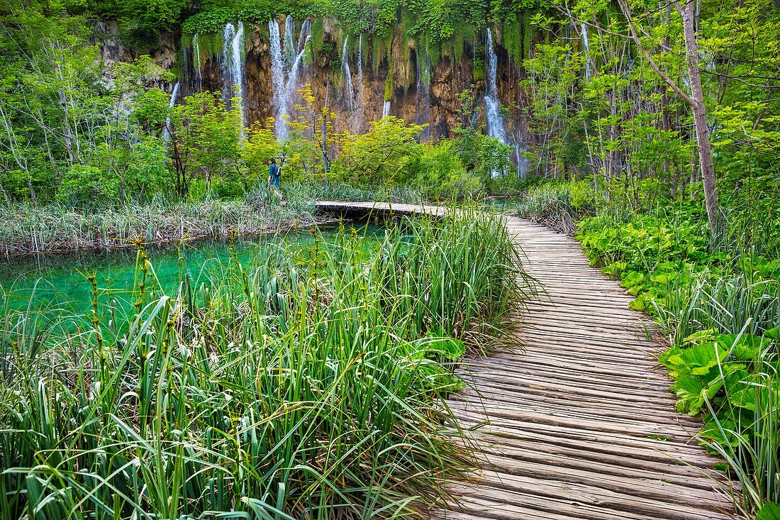 Großer Wasserfall. Veliki Slap. Nationalpark Plitvicer Seen. Lika Plješivica Gebirgszug. Der Park fällt in zwei Landkreise Lika-Senj und Karlovac. UNESCO-Weltkulturerbe, Kroatien
