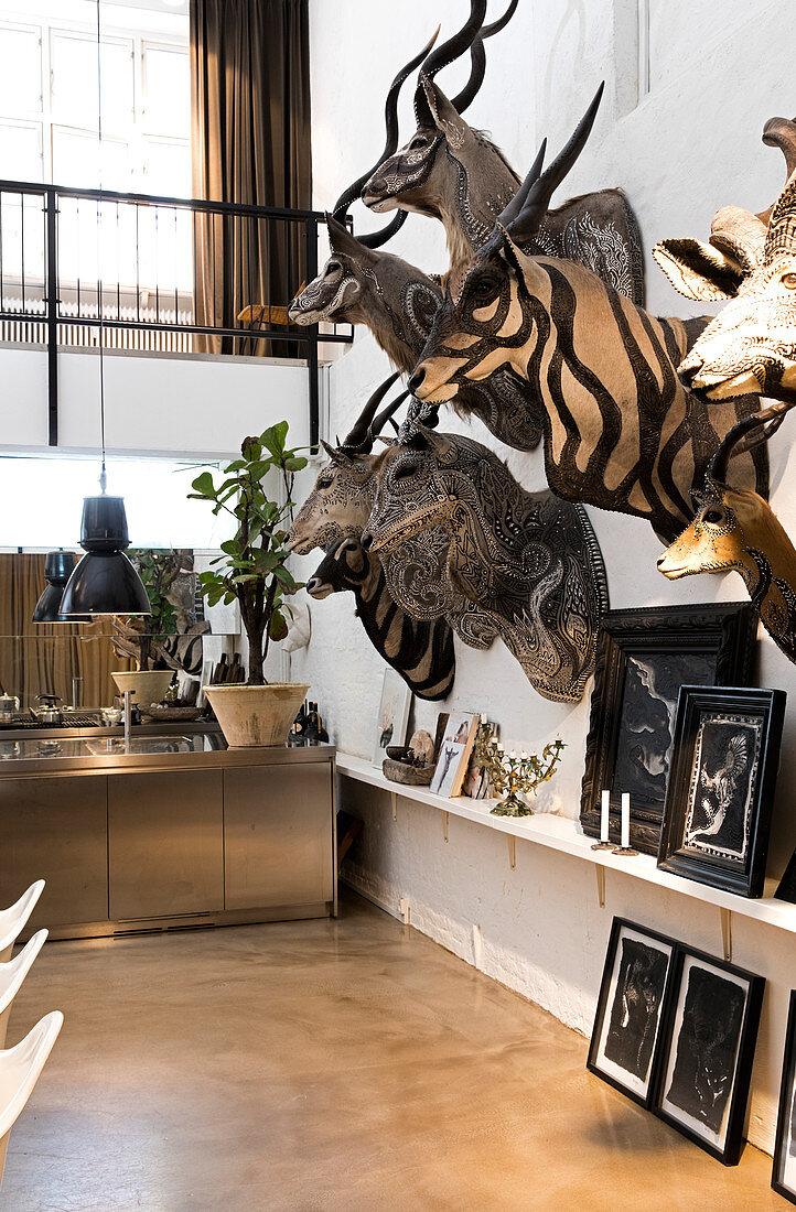 An interior view of an artists home in Copenhagen. Decorated taxidermied animals decorate the walls, along with an exhibit of paintings, by the same artist.