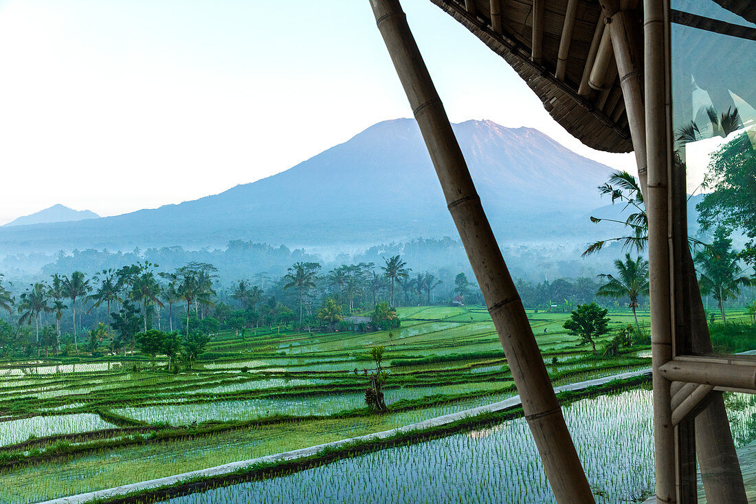 View from a bamboo terrace, across green rice paddies, of the active volcano, Mount Agung, in Bali.