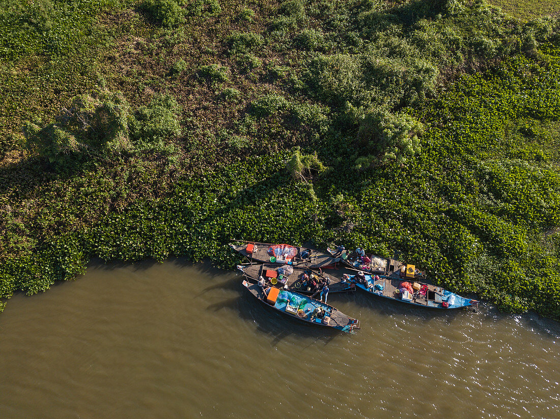 Luftaufnahme von Fischern auf einer Gruppe von Longtailbooten entlang Ufer von Fluss Tonle Sap, nahe Kampong Chhnang, Kampong Chhnang, Kambodscha, Asien