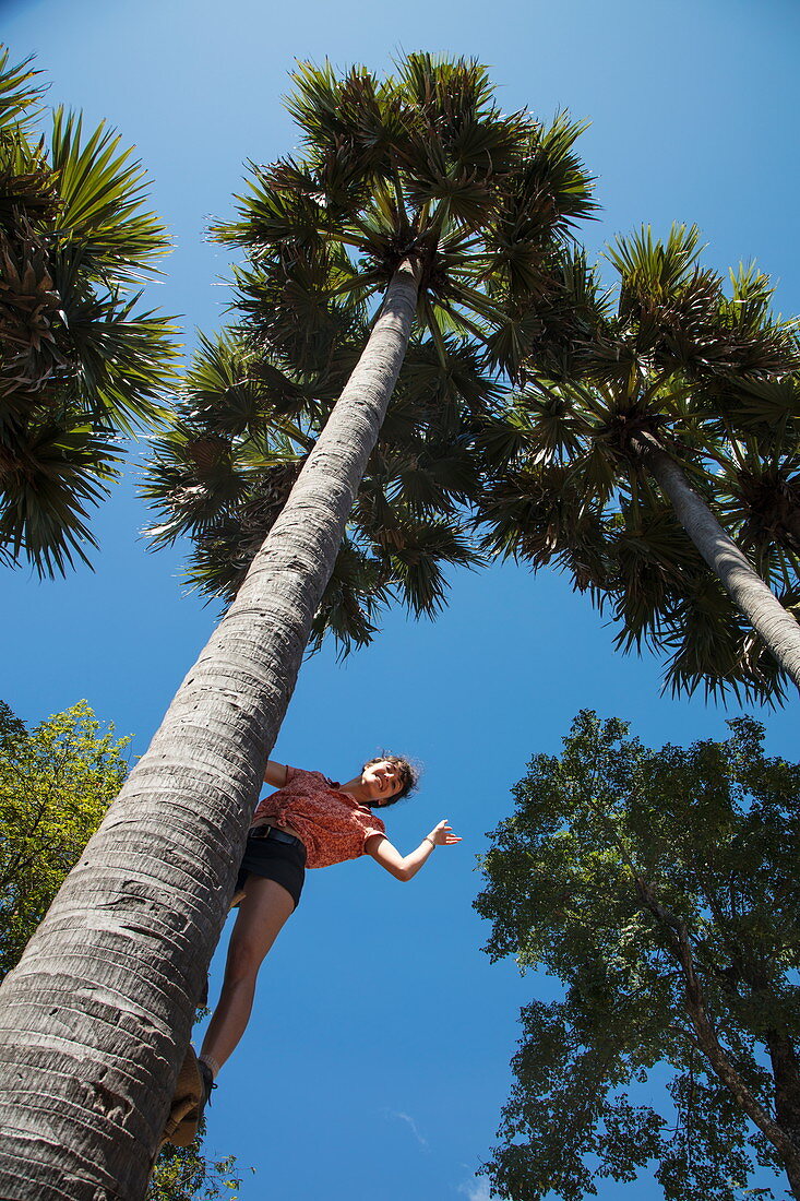 Young woman leans from trunk of a coconut tree and waves, Andong Russei, Kampong Chhnang, Cambodia, Asia