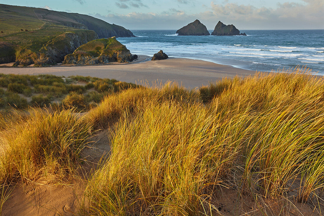 Sand dunes at Holywell Bay, a place made famous by BBC drama Poldark, near Newquay, north Cornwall, England, United Kingdom, Europe