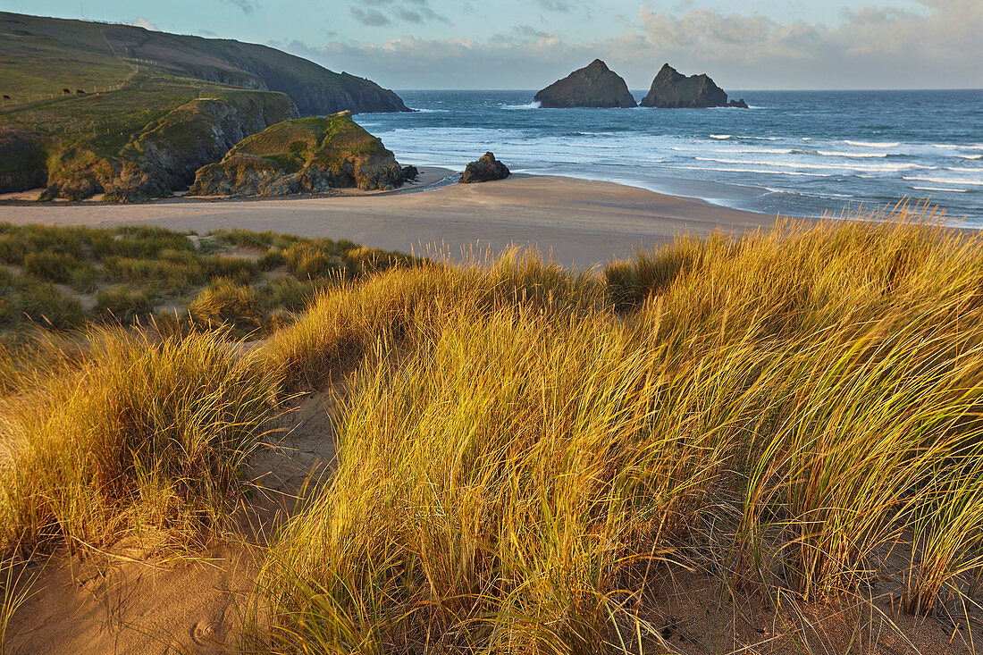 Sanddünen in Holywell Bay, einem Ort, der durch das BBC-Drama Poldark berühmt wurde, in der Nähe von Newquay, Nord-Cornwall, England, Großbritannien, Europa