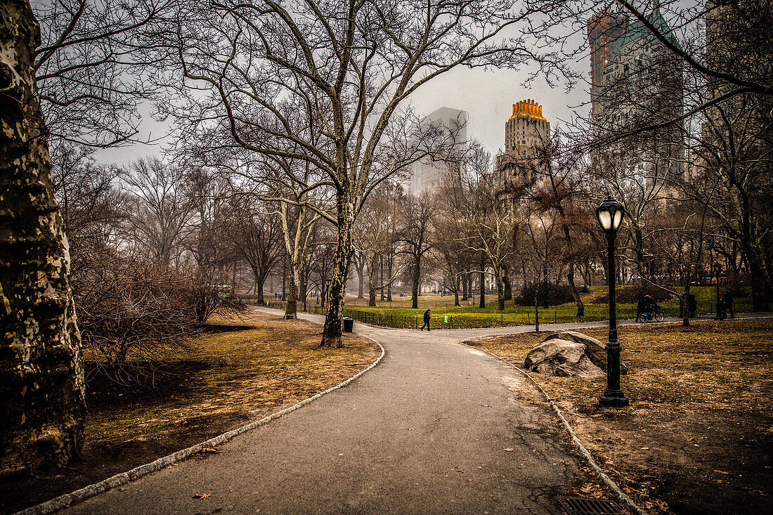 Snow starting in Central Park, New York, United States of America, North America