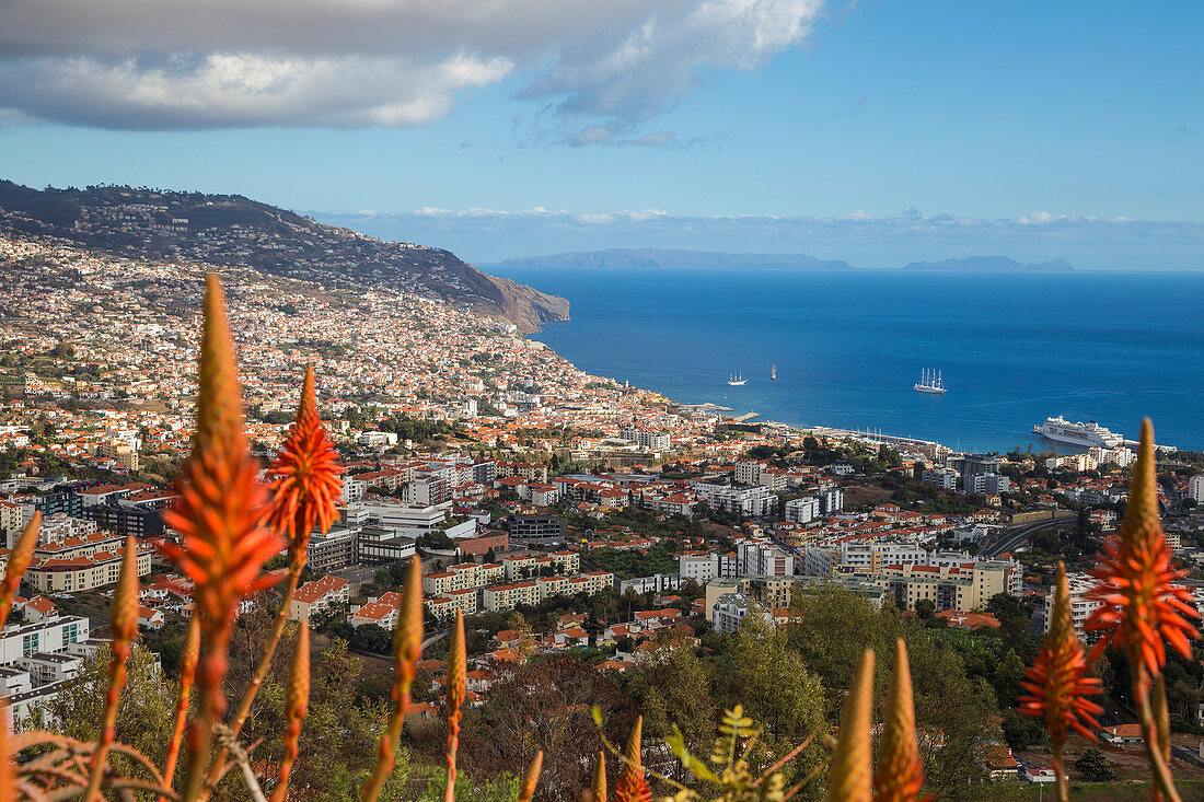 Ansicht der Stadt, Funchal, Madeira, Portugal, Atlantik, Europa