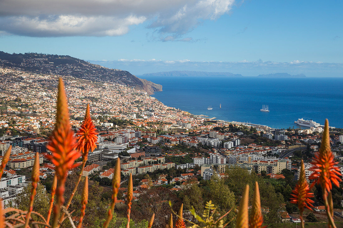 View of city, Funchal, Madeira, Portugal, Atlantic, Europe