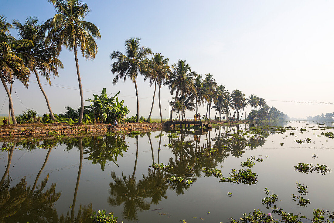 Öffentlicher Fährschutz, Backwaters, Alappuzha (Alleppey), Kerala, Indien, Asien