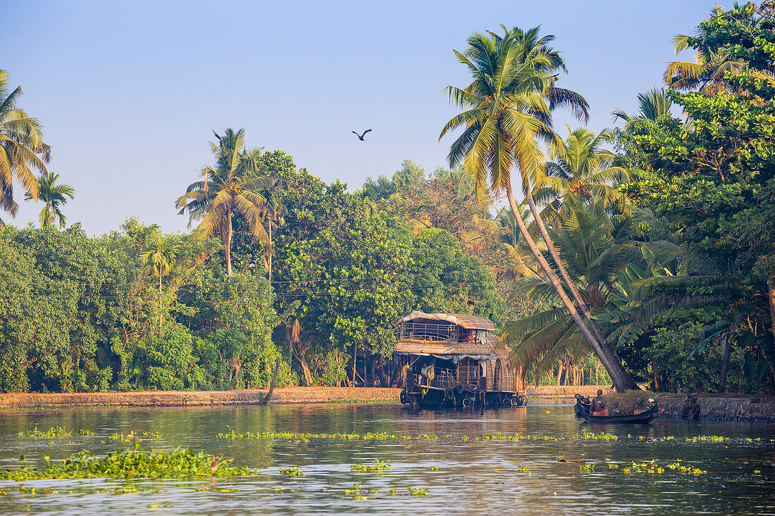 Hausboot auf Backwaters, Alappuzha (Alleppey), Kerala, Indien, Asien