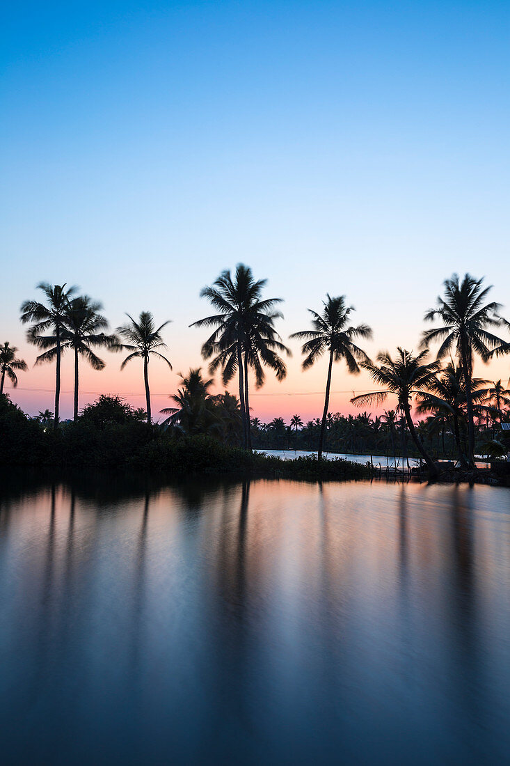 Palmen, die in Backwaters, Munroe Island, Kollam, Kerala, Indien, Asien reflektieren