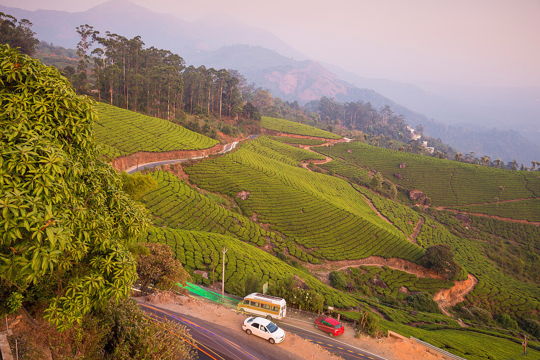Straße, die sich durch Munnar Teeplantagen, Munnar, Kerala, Indien, Asien windet