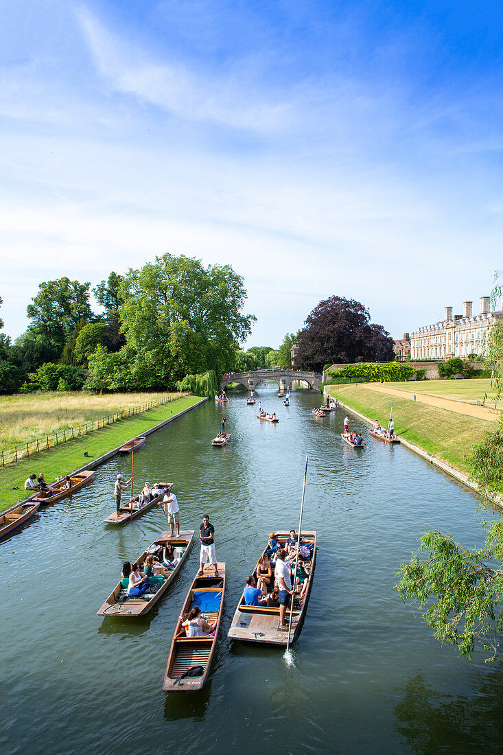 Punts auf dem Fluss Cam, Cambridge, Cambridgeshire, England, Vereinigtes Königreich, Europa