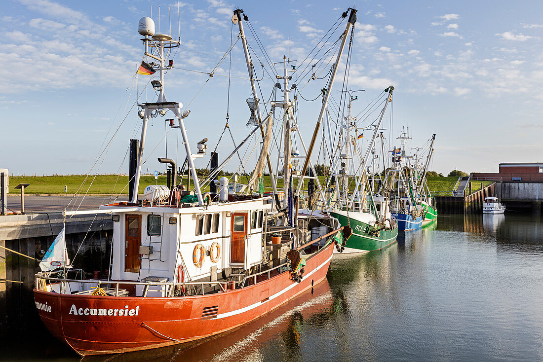 Fischerboote im Hafen, Fischkutter, Dornumersiel Tief, Dornumersiel, Ostfriesland, Niedersachsen, Deutschland