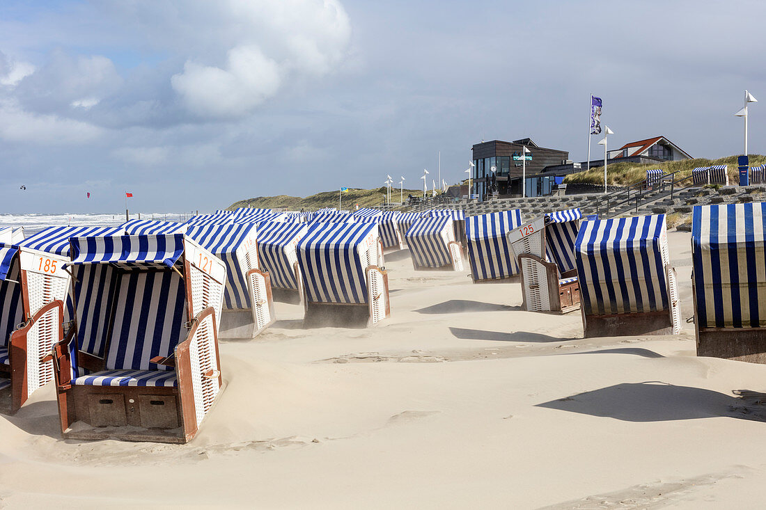 Beach chairs in the wind, beach, sand blowing, North Sea, Norderney, East Frisia, Lower Saxony, Germany