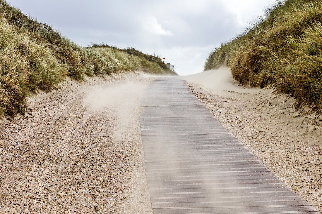Sand blows on the beach path, dunes, wind, windy, Norderney, East Frisia, Lower Saxony, Germany