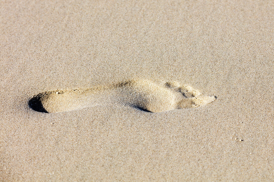 Fußabdruck im Sand, Strand, Spiekeroog, Ostfriesland, Niedersachsen, Deutschland