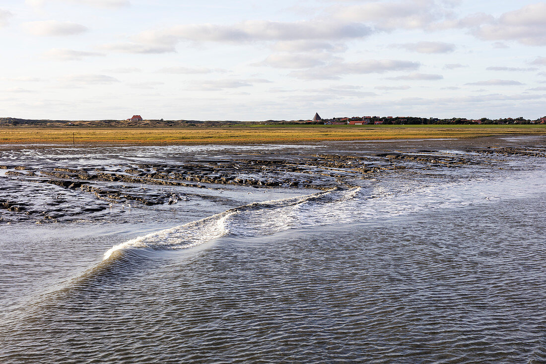 Schlick im Hafen, Spiekeroog, Ostfriesland, Niedersachsen, Deutschland