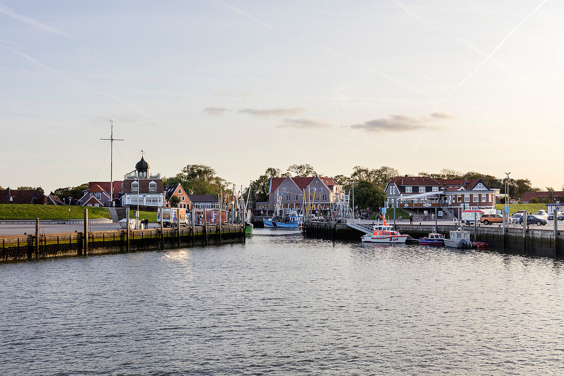 Harbor in the evening light, fishing boats, fishing trawler, evening light, Neuharlingersiel, East Frisia, Lower Saxony, Germany