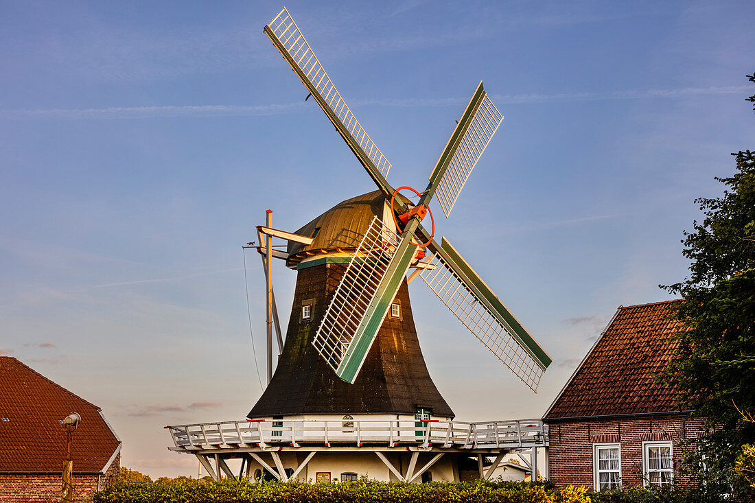 Seriemer mill in the evening sun, windmill, sunset, Neuharlingersiel, East Frisia, Lower Saxony, Germany