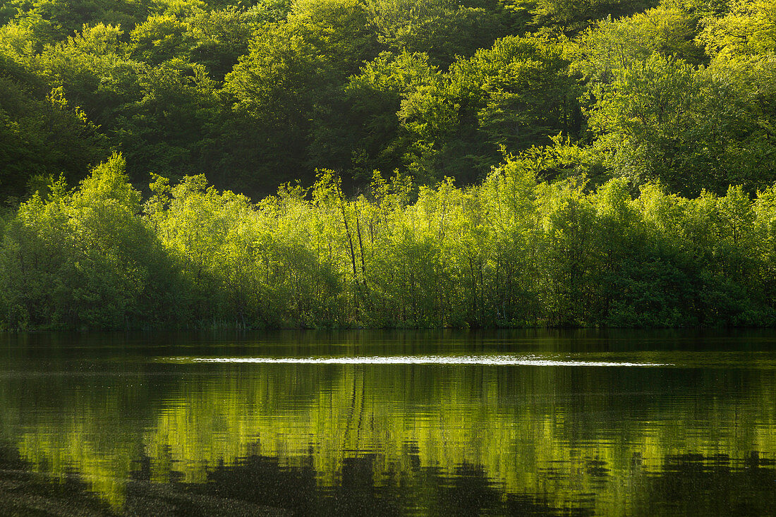 Schwarzer See, Granitz Nature Reserve, Ruegen, Baltic Sea, Mecklenburg-Western Pomerania, Germany