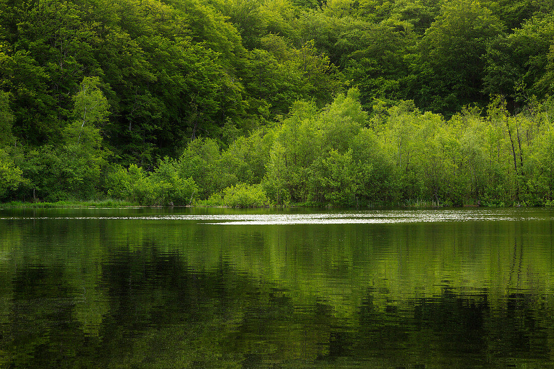 Schwarzer See, Naturschutzgebiet Granitz, Rügen, Ostsee, Mecklenburg-Vorpommern, Deutschland