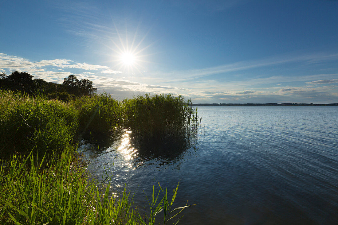 Blick über das Achterwasser, Lieper Winkel, Usedom, Ostsee, Mecklenburg-Vorpommern, Deutschland