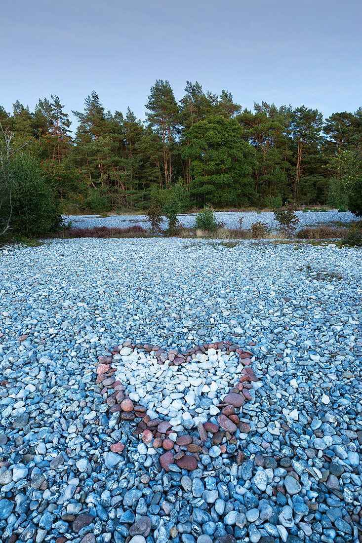 Feuersteinfelder in der Schmalen Heide, Rügen, Ostsee, Mecklenburg-Vorpommern, Deutschland