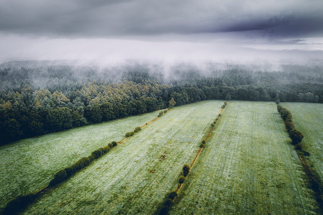 Fields and forest under fog and clouds, aerial view, Wiesede, Friedeburg, Wittmund, East Frisia, Lower Saxony, Germany, Europe