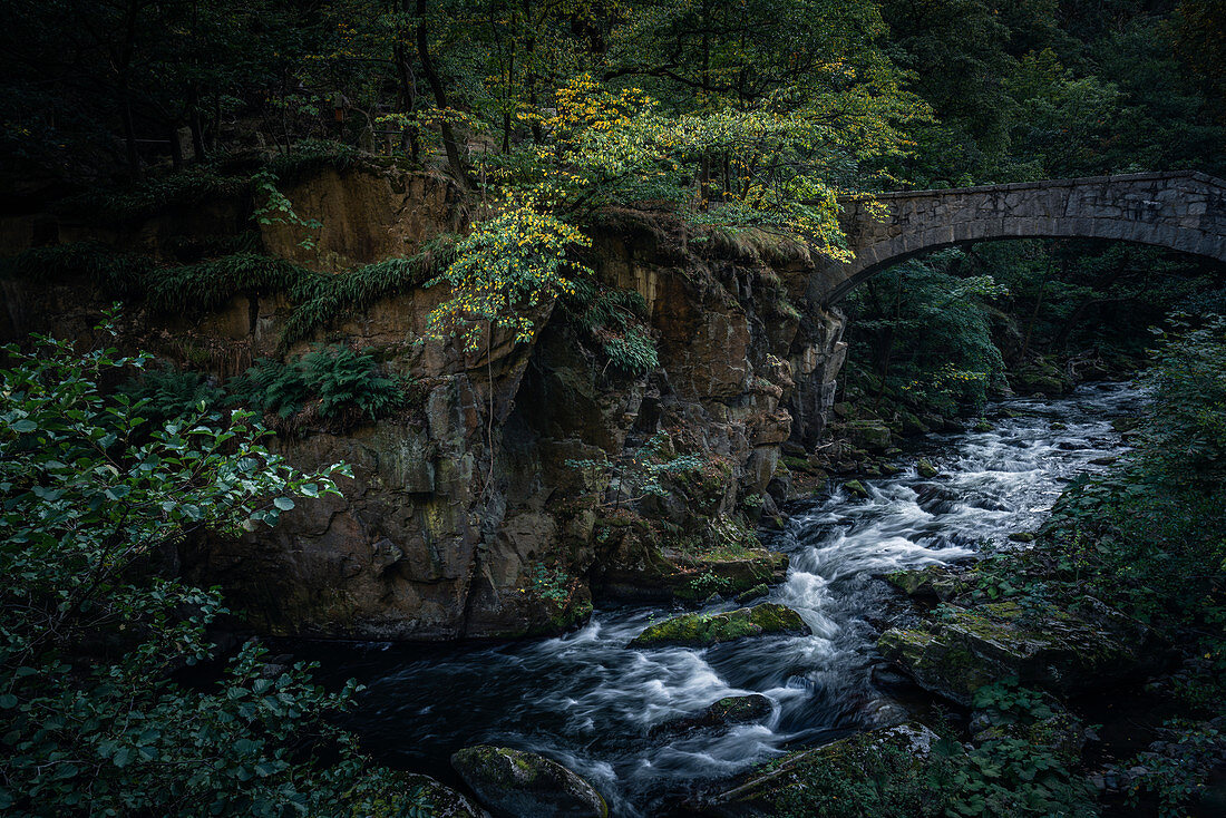 Fluss Bode mit Jungfernbrücke, Bodetal, Thale, Harz, Sachsen-Anhalt, Deutschland, Europa