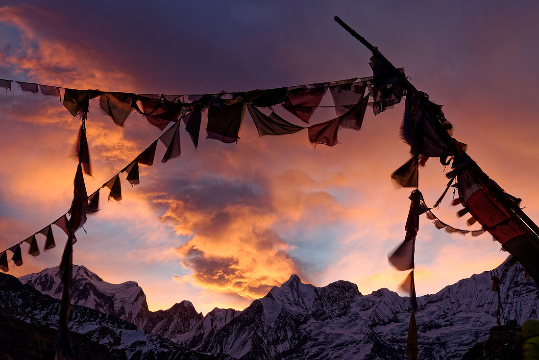 Sonnenaufgang und Gebetsfahnen am Annapurna Base Camp, Nepal, Himalaya, Asien.
