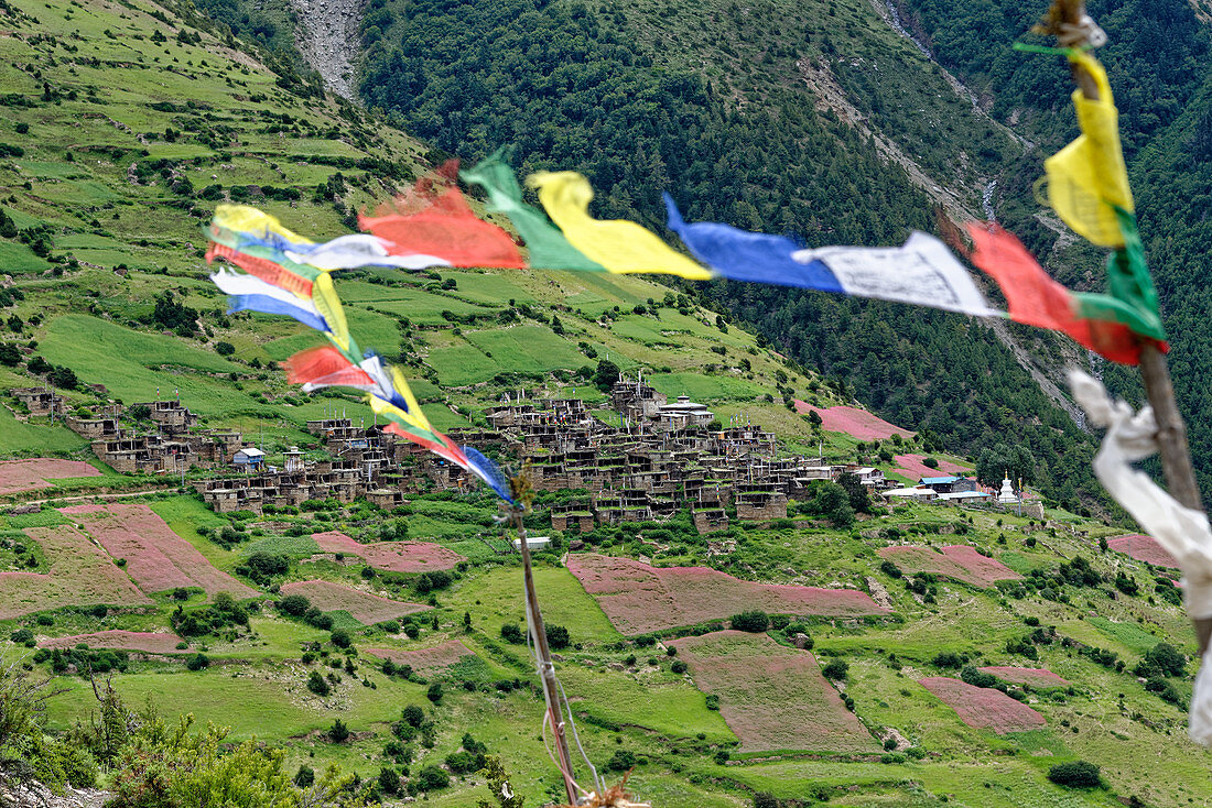 Wunderschöne Wege erschliessen die Dörfer im Tal von Manang, Nepal, Himalaya, Asien.