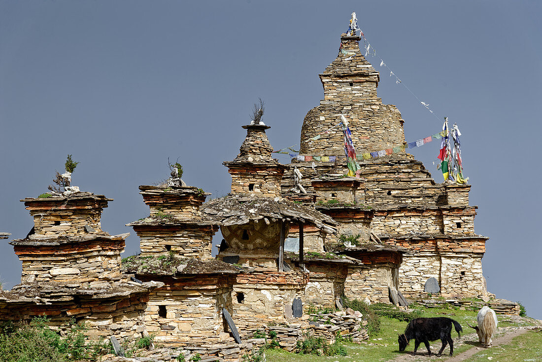 Chörten oberhalb vom Dorf Nar, Nepal, Himalaya, Asien.