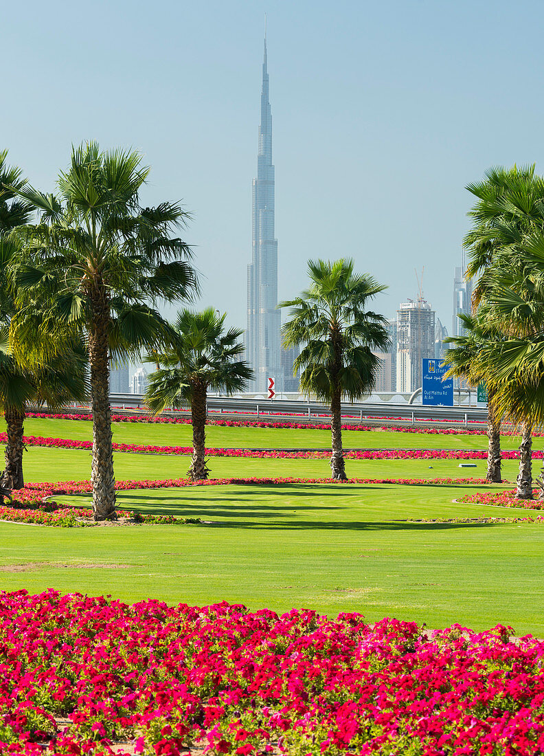 Palmen und Blumen, Dubai, Vereinigte Arabische Emirate