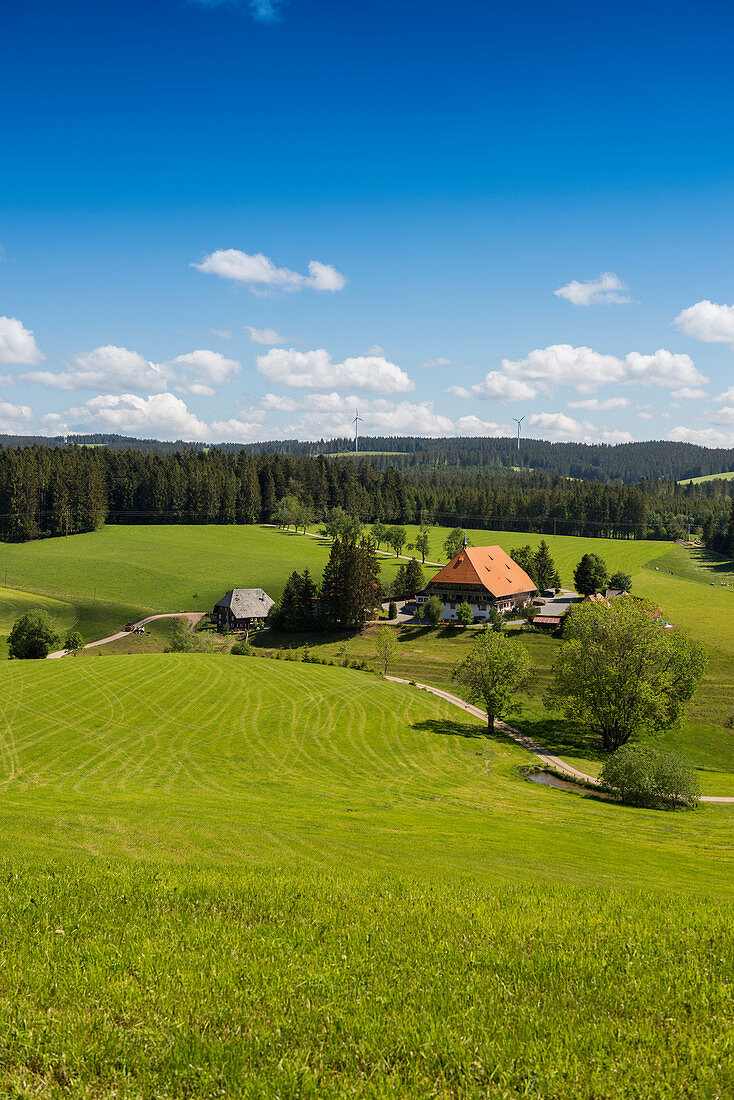 Alter Schwarzwaldhof, Unterfallengrundhof, bei Gütenbach, Schwarzwald, Baden-Württemberg, Deutschland