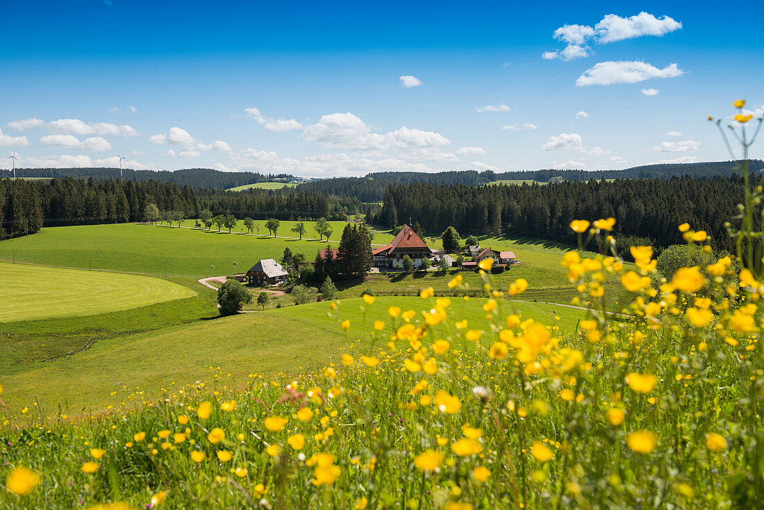 Alter Schwarzwaldhof, Unterfallengrundhof, bei Gütenbach, Schwarzwald, Baden-Württemberg, Deutschland