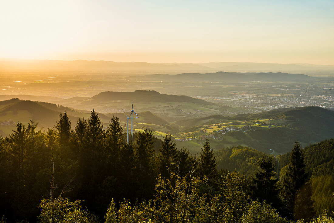 Blick vom Schauinsland ins Rheintal, Sonnenuntergang, Schwarzwald, Baden-Württemberg, Deutschland