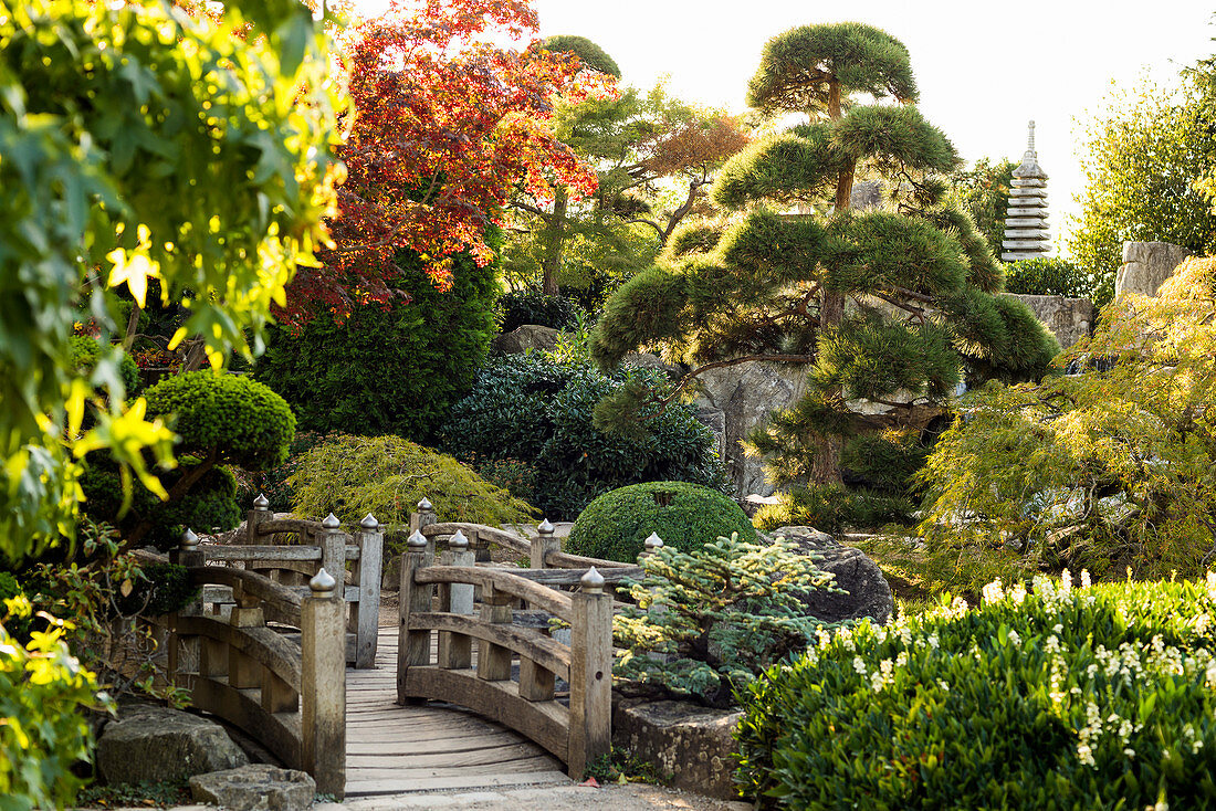 Japanese Garden, Seepark, Freiburg im Breisgau, Black Forest, Baden-Württemberg, Germany