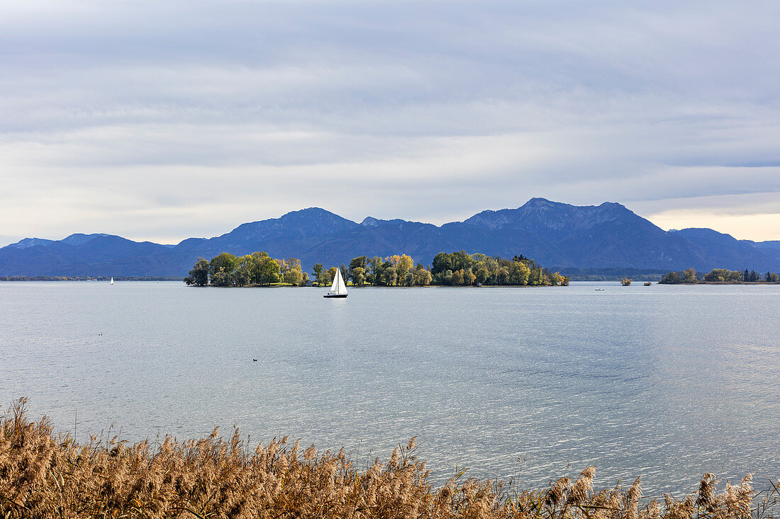 Krautinsel von Gstadt in front of Chiemgau Alps, Chiemsee, Bavaria, Germany