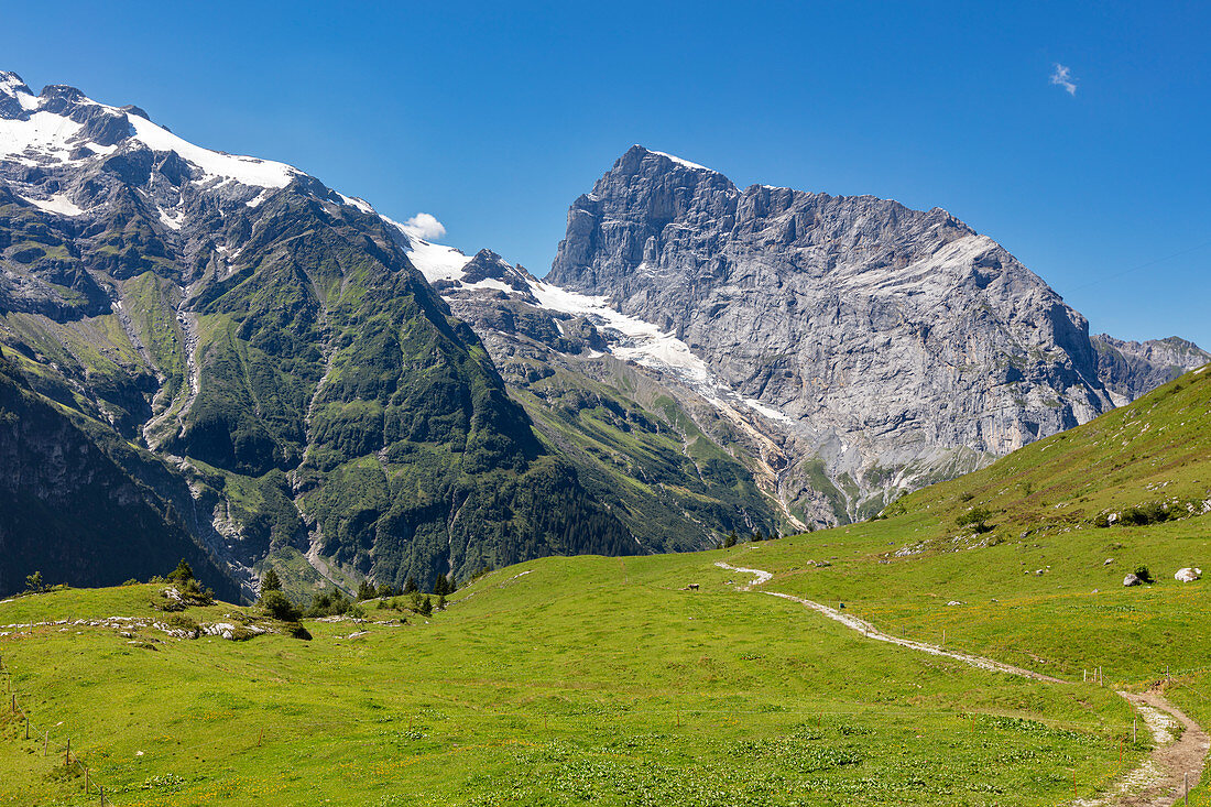 Urner Alpen von Fürenalp, Stäuber, Engelberg, Schweiz