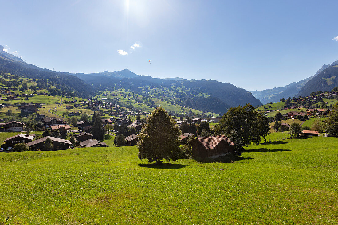View from Grindelwald in western direction, Bernese Oberland, Switzerland
