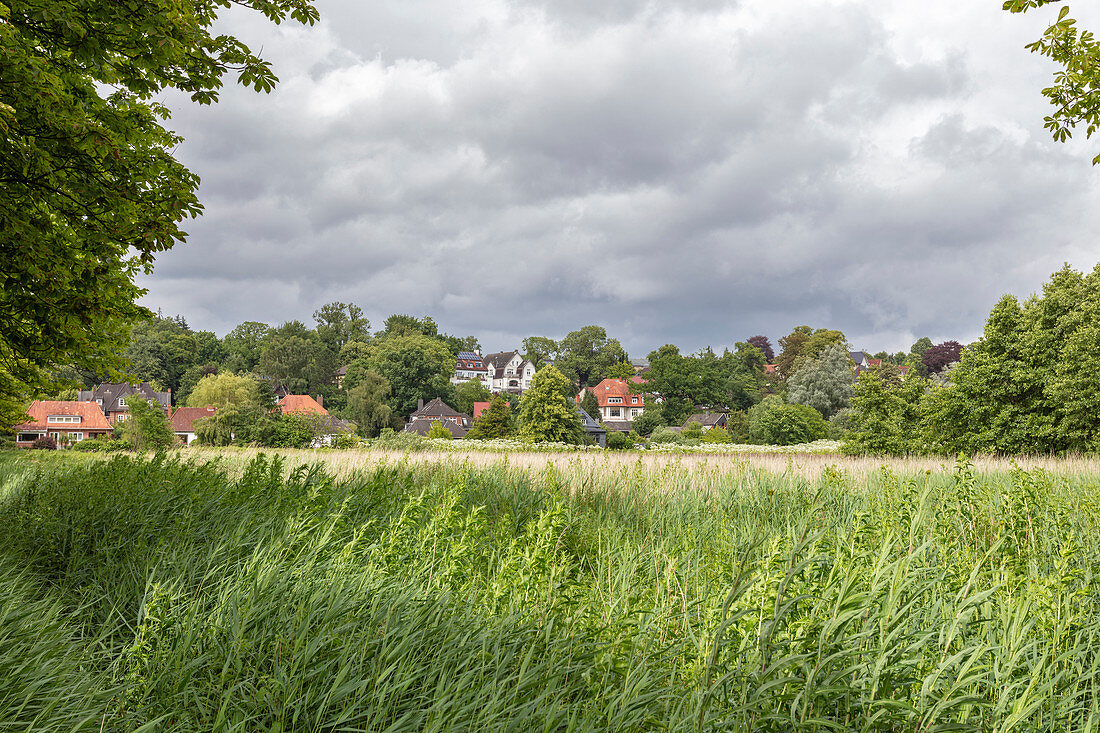 Field next to the baroque garden, Schleswig, Schleswig-Holstein, Germany