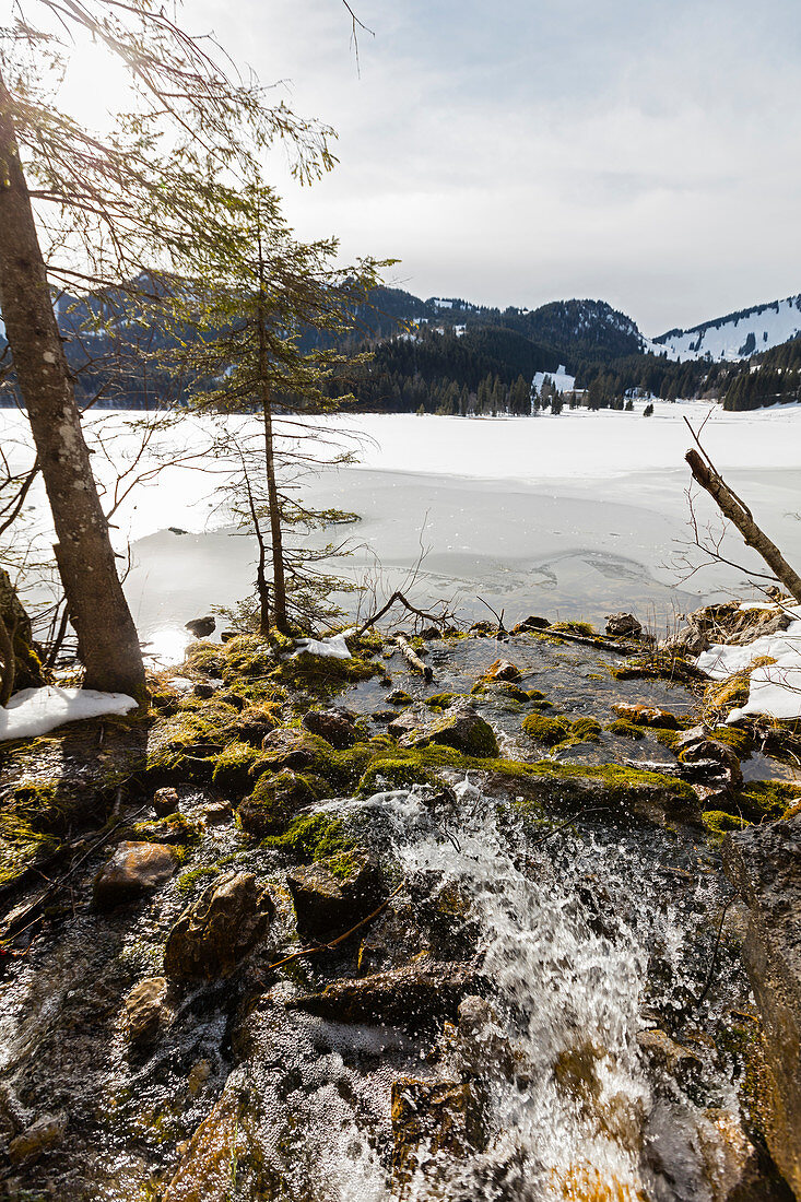 Bachmündung am gefrorenen Spitzingsee im Winter, Bayern, Deutschland